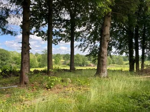Hyresbostad på Hörby i horby