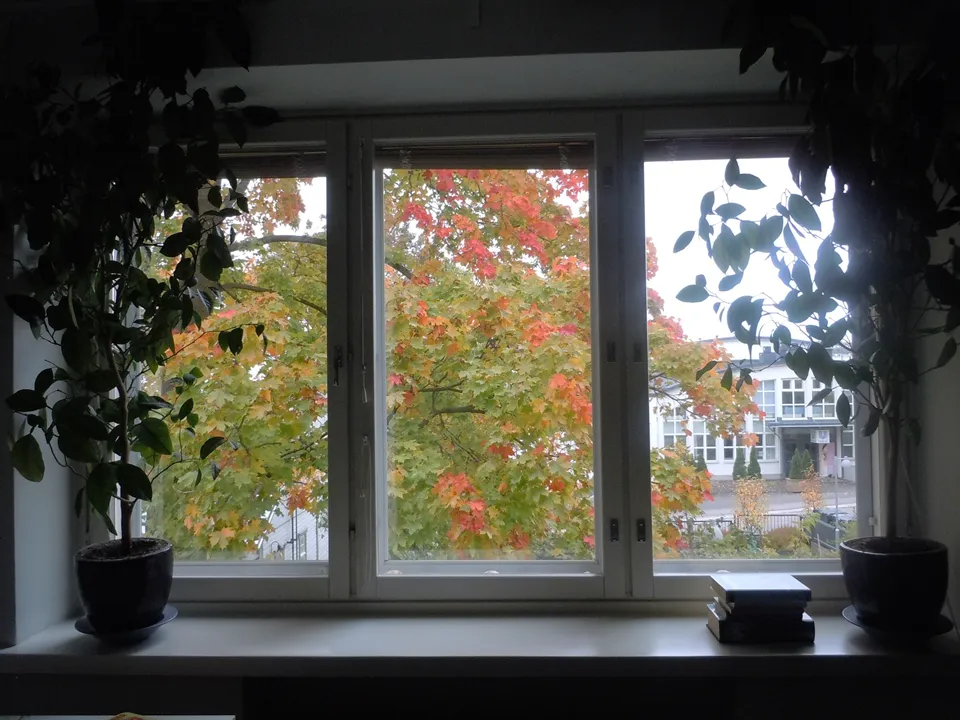 Hyreslägenhet på Helsinki i helsinki