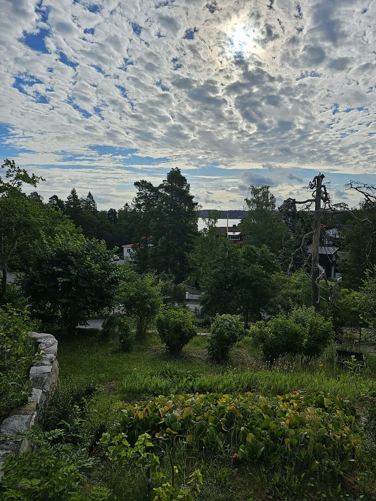 Hyreslägenhet på Lidingö i lidingo