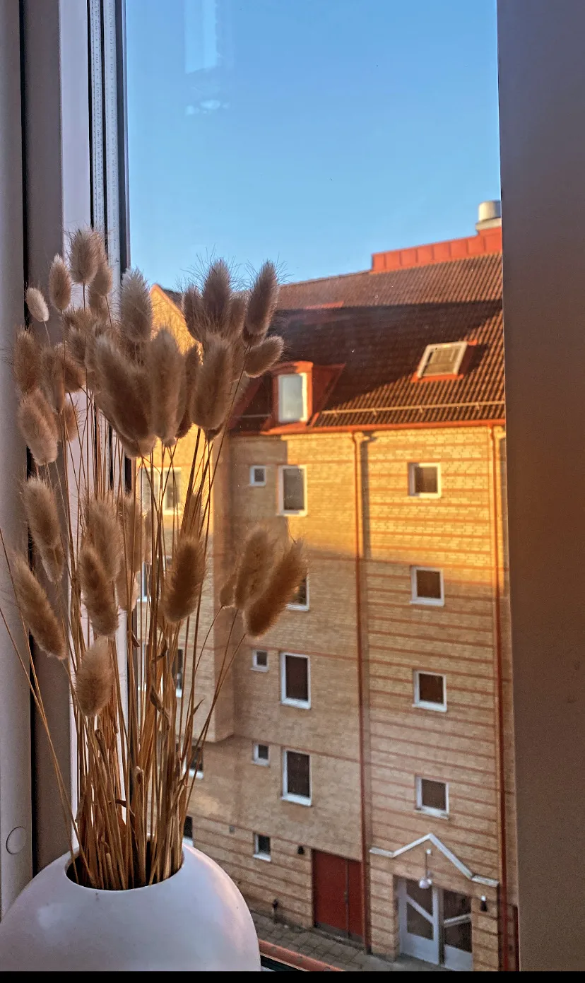 Hyreslägenhet på Helsingborg i helsingborg