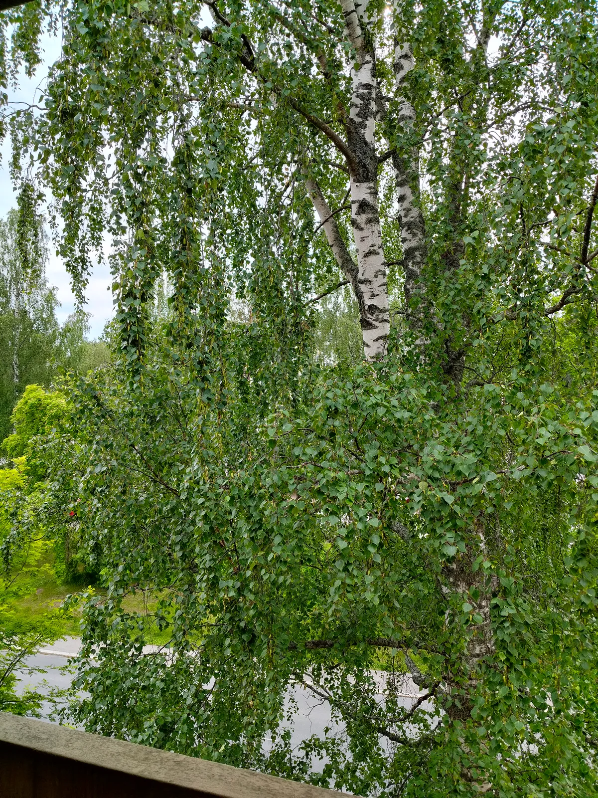 Hyreslägenhet på Tampere i tampere