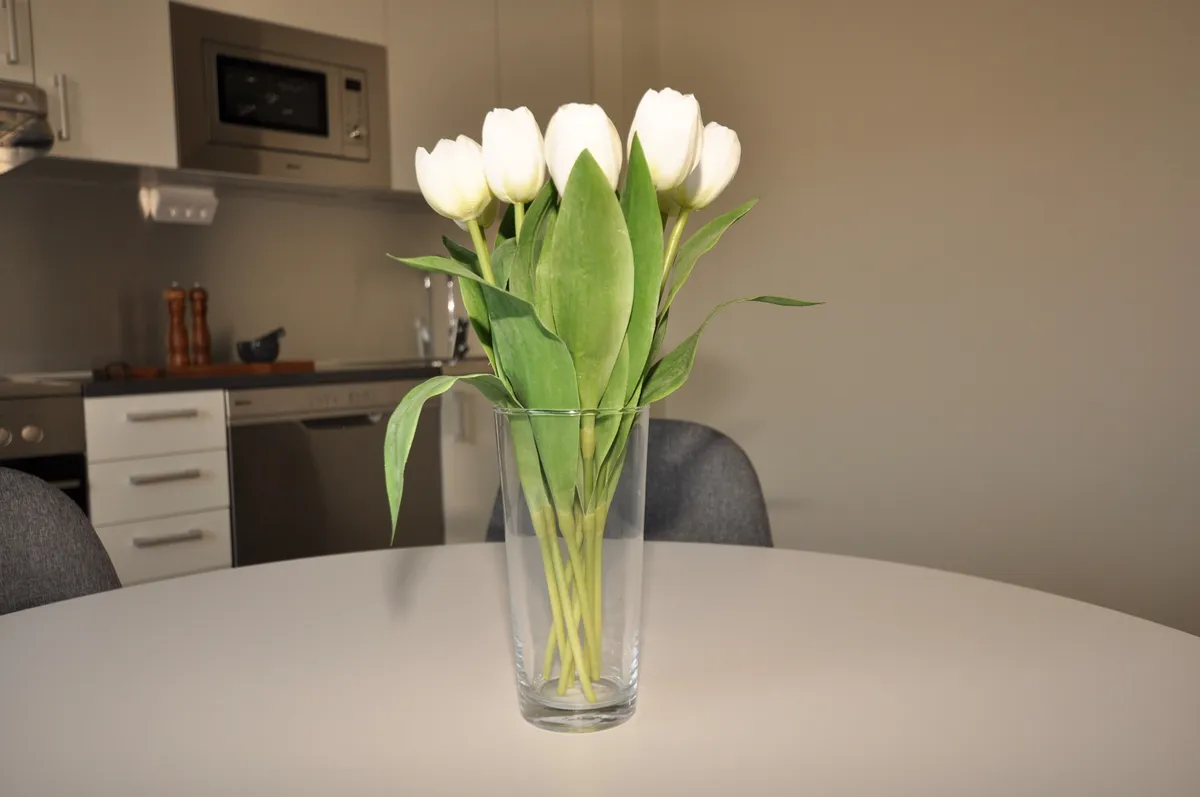 Hyreslägenhet på Enköping i enkoping