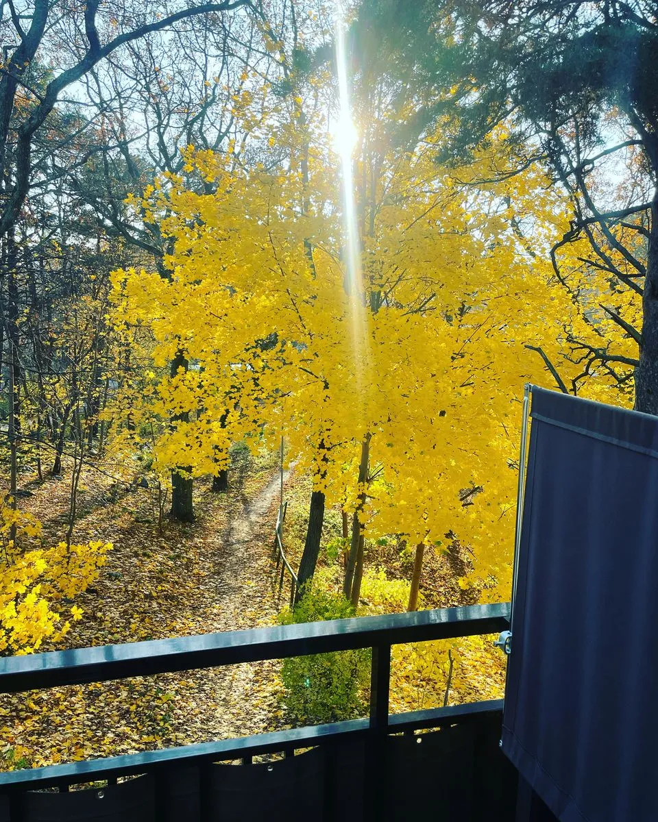 Hyreslägenhet på Stocksund i stocksund
