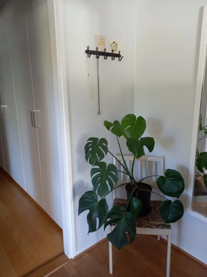 Hyreslägenhet på Uddevalla i uddevalla