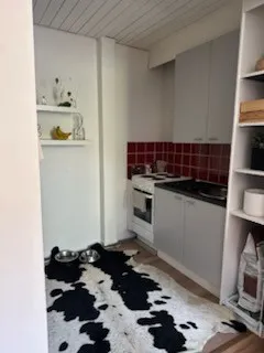 Hyreslägenhet på Turku i turku