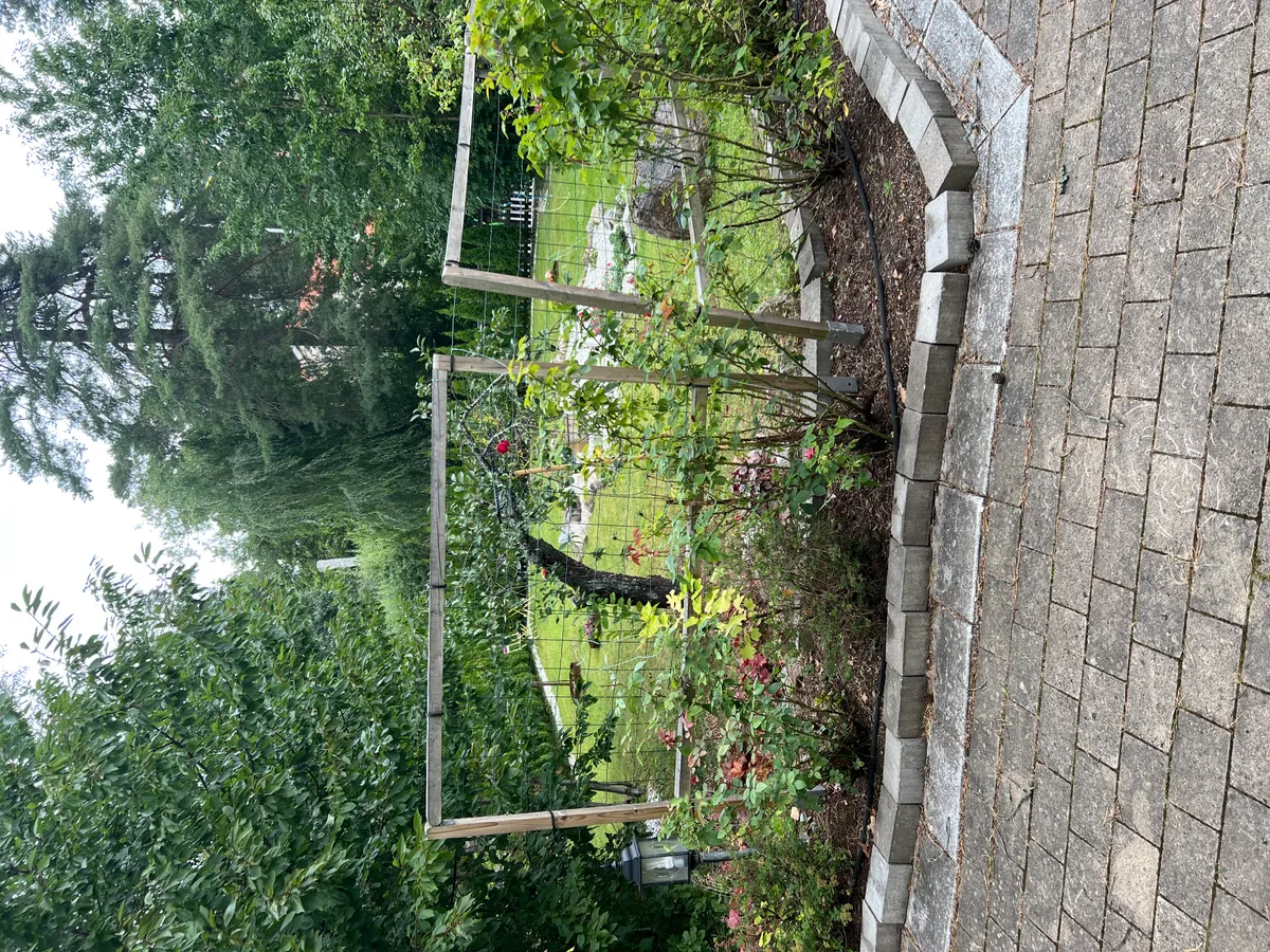 Hyreslägenhet på Uppsala i uppsala