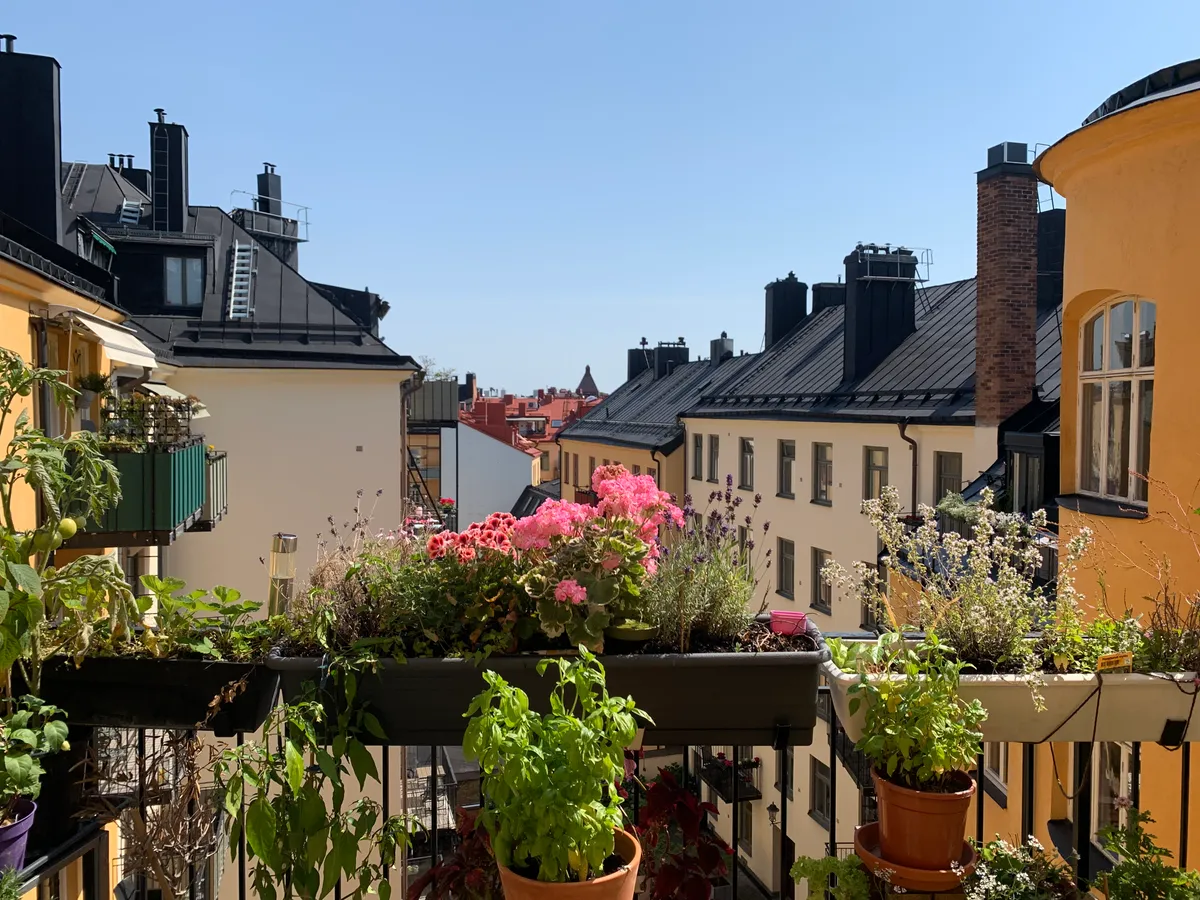 Hyreslägenhet på Stockholm i stockholm