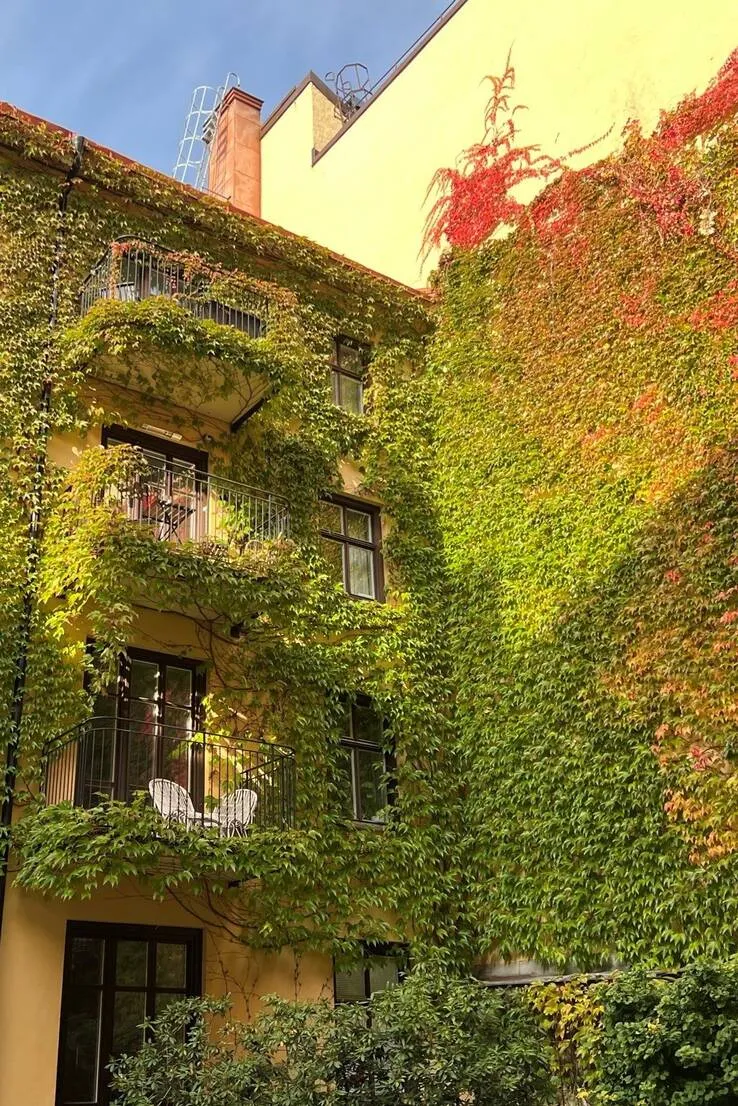 Hyreslägenhet på Stockholm i stockholm