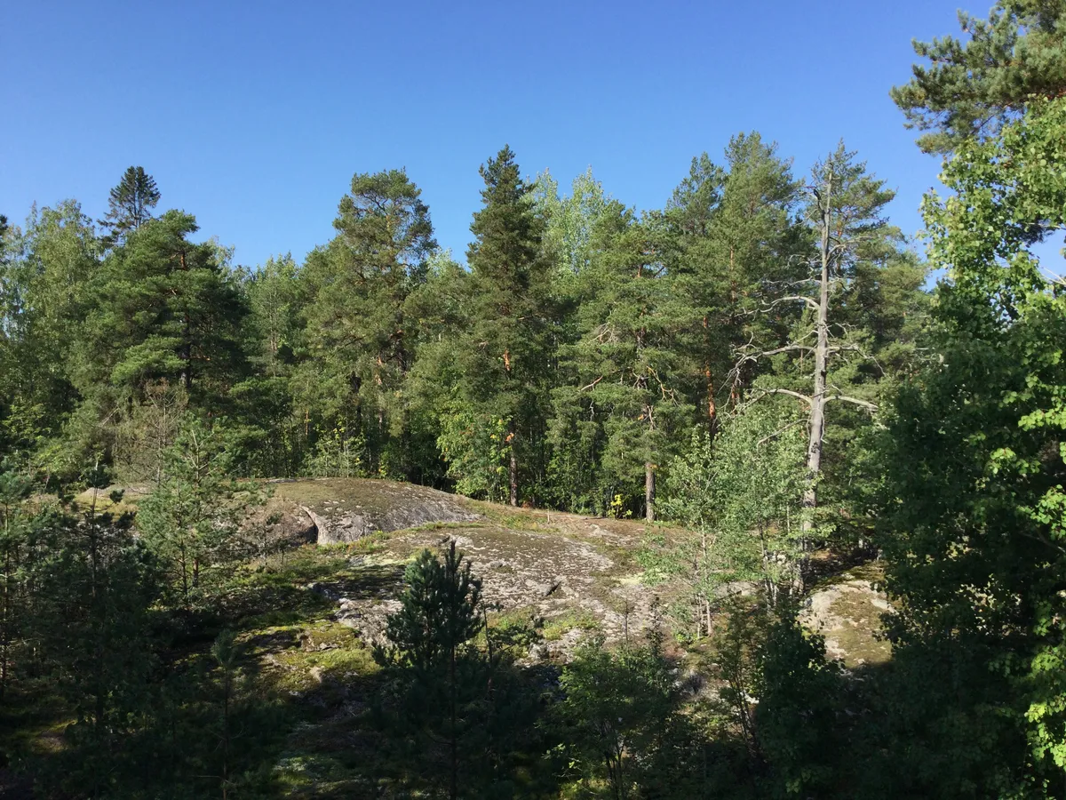 Hyreslägenhet på Helsinki i helsinki