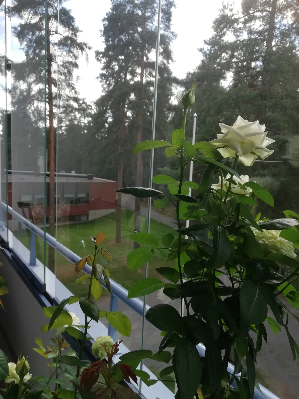 Hyreslägenhet på Tampere i tampere