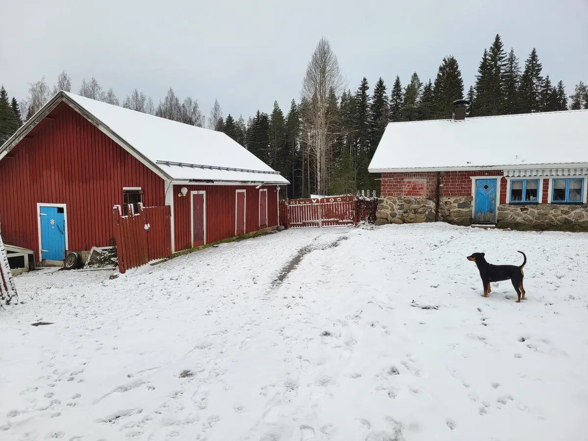 Hyresbostad på Mikkeli i mikkeli