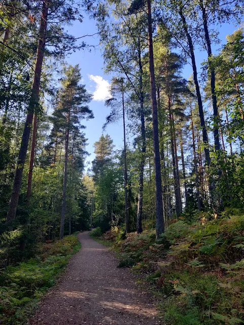 Hyresbostad på Espoo i espoo