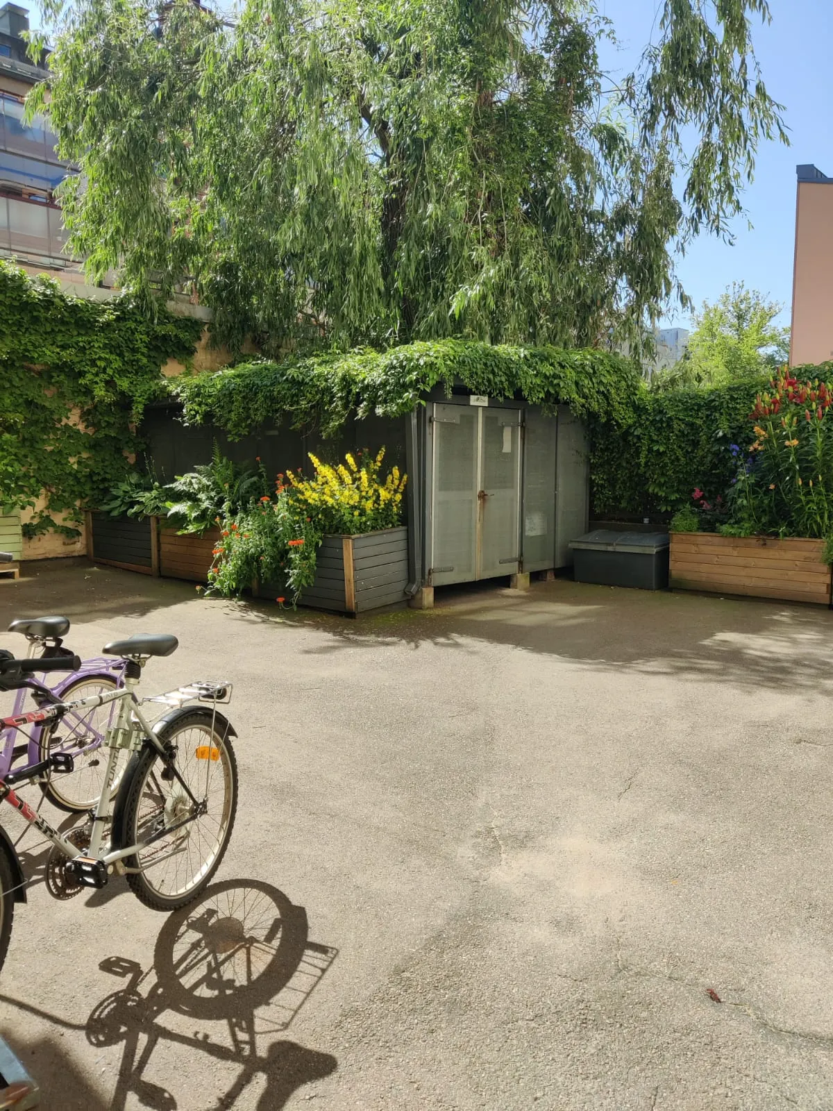 Hyreslägenhet på Helsinki i helsinki