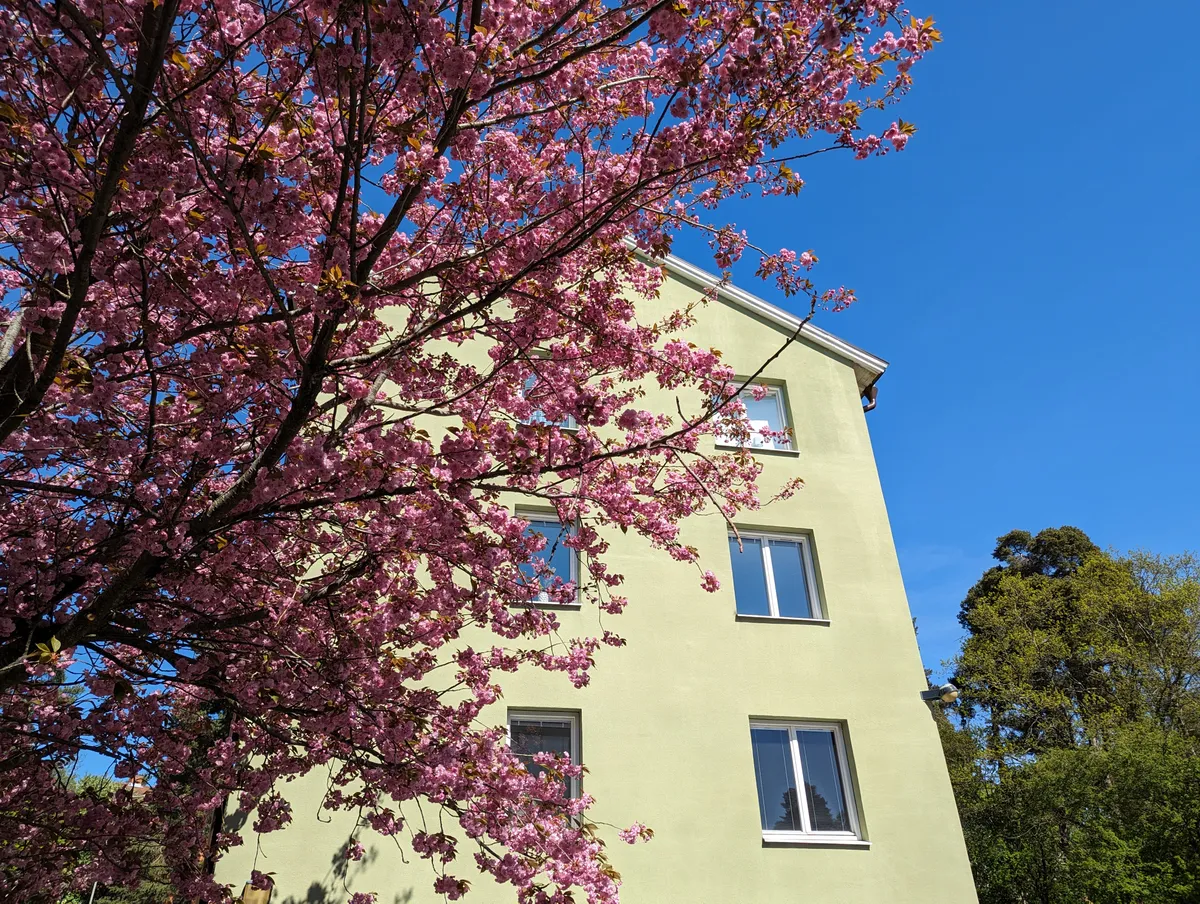 Hyreslägenhet på Bromma i bromma
