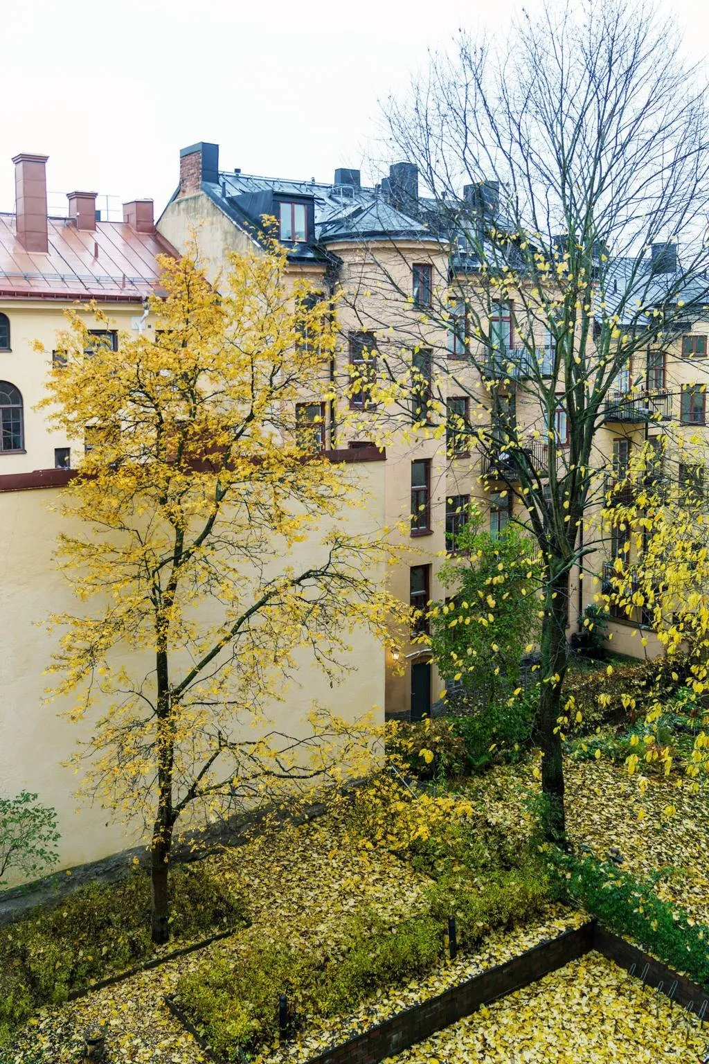 Hyreslägenhet på Stockholm i stockholm
