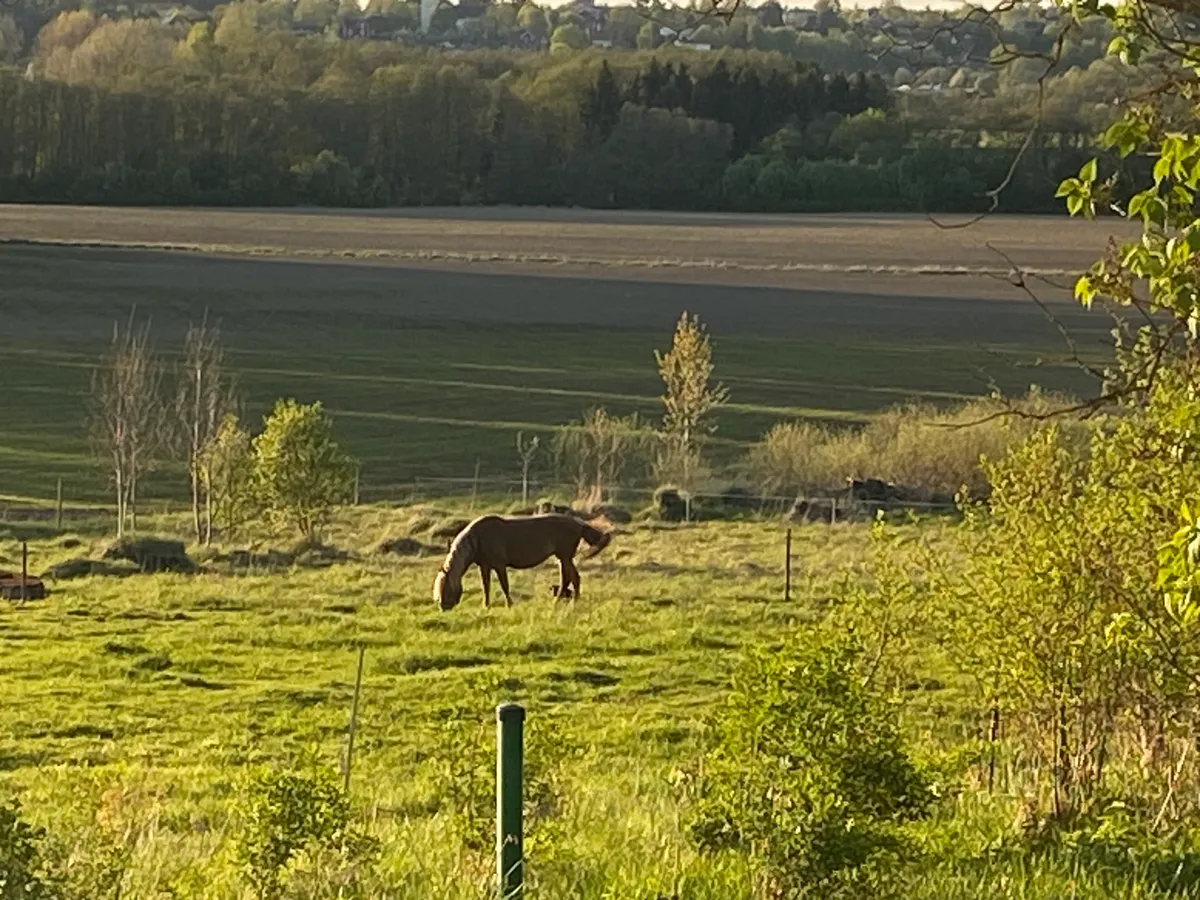 Hyresbostad på Järna i jarna