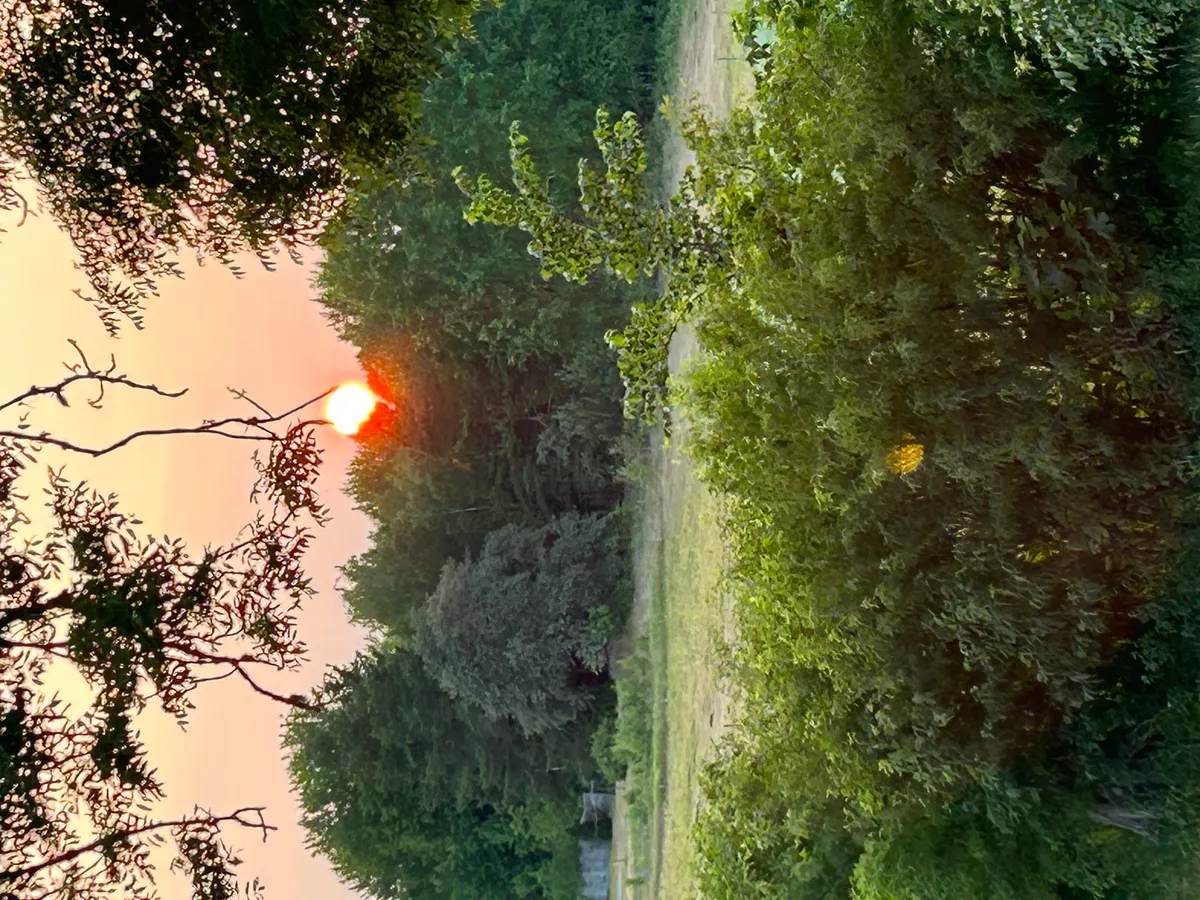 Hyresbostad på Järna i jarna