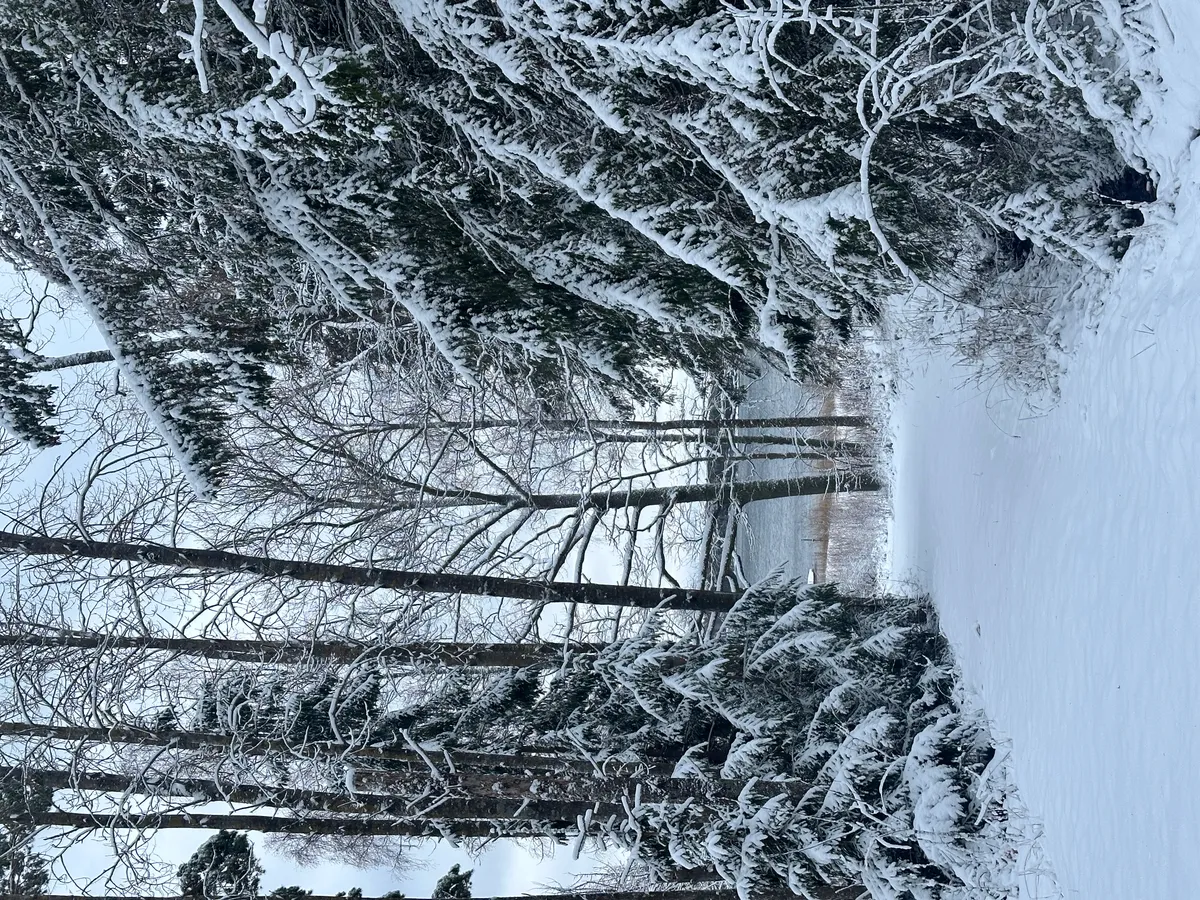 Hyresbostad på Djurhamn i djurhamn