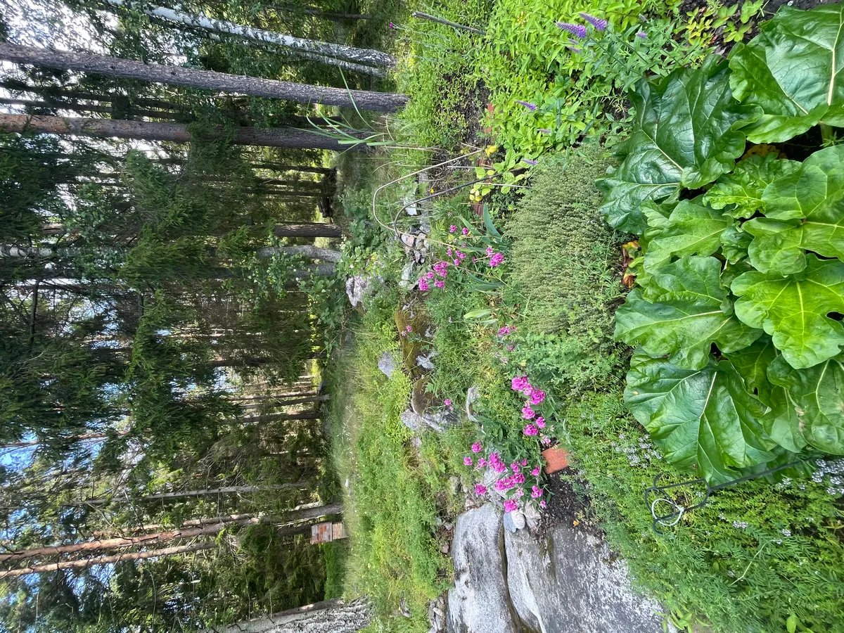 Hyresbostad på Djurhamn i djurhamn