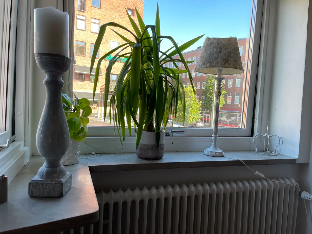Hyreslägenhet på Borås i boras