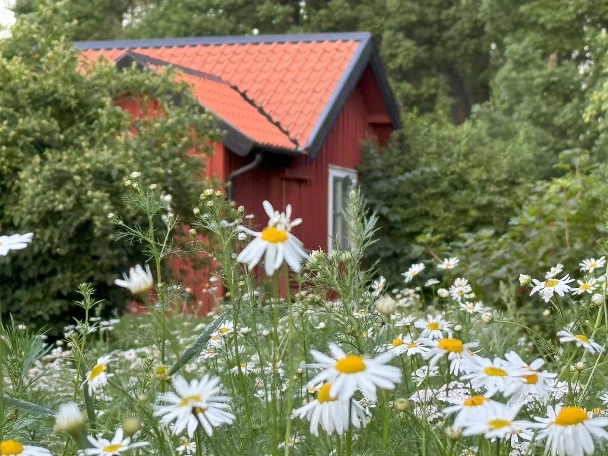 Hyresbostad på Uppsala i uppsala