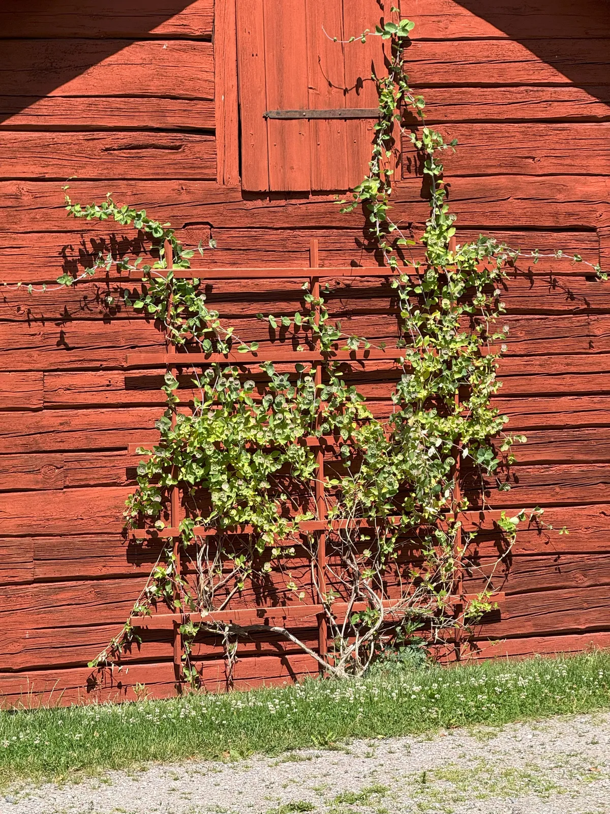Hyresbostad på Uppsala i uppsala