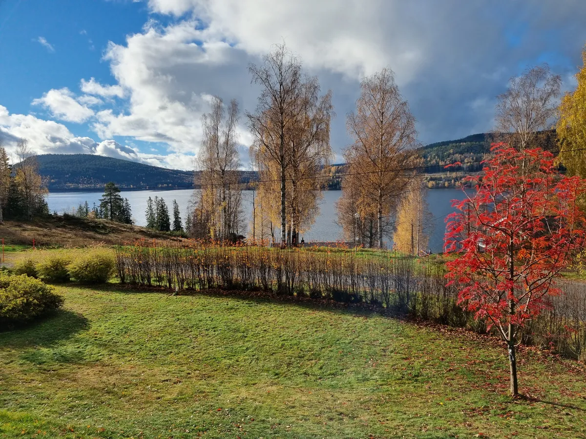 Hyresbostad på Kramfors i kramfors