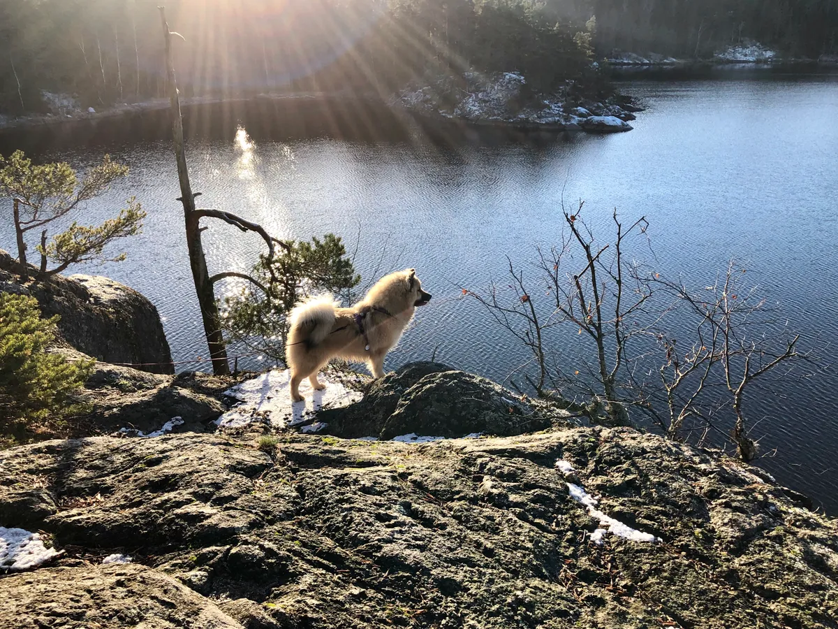 Hyresbostad på Tyresö i tyreso