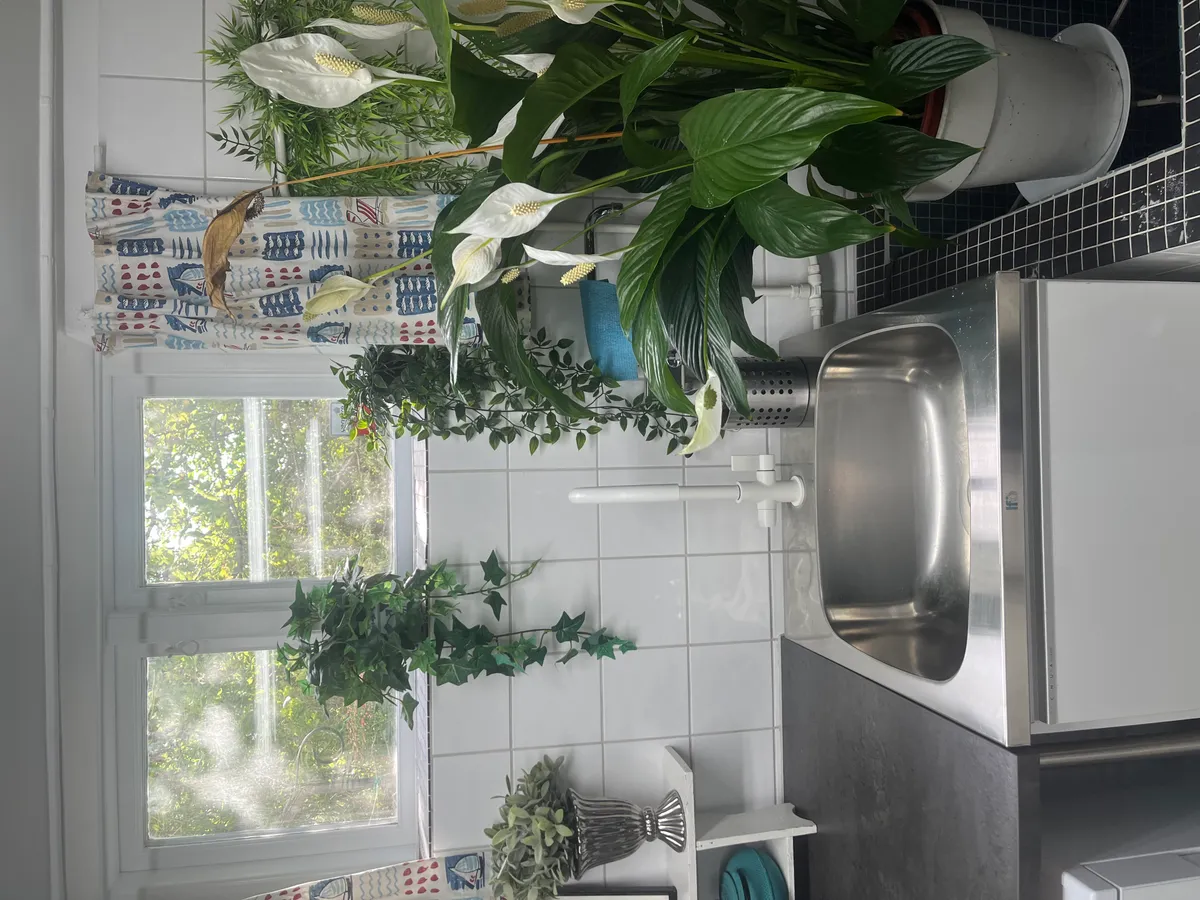 Hyreslägenhet på Solna i solna