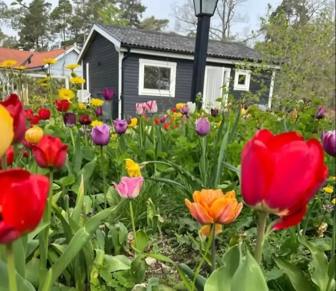 Hyresbostad på Visby i visby