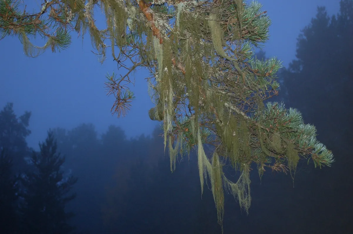 Hyreslägenhet på Sollefteå i solleftea