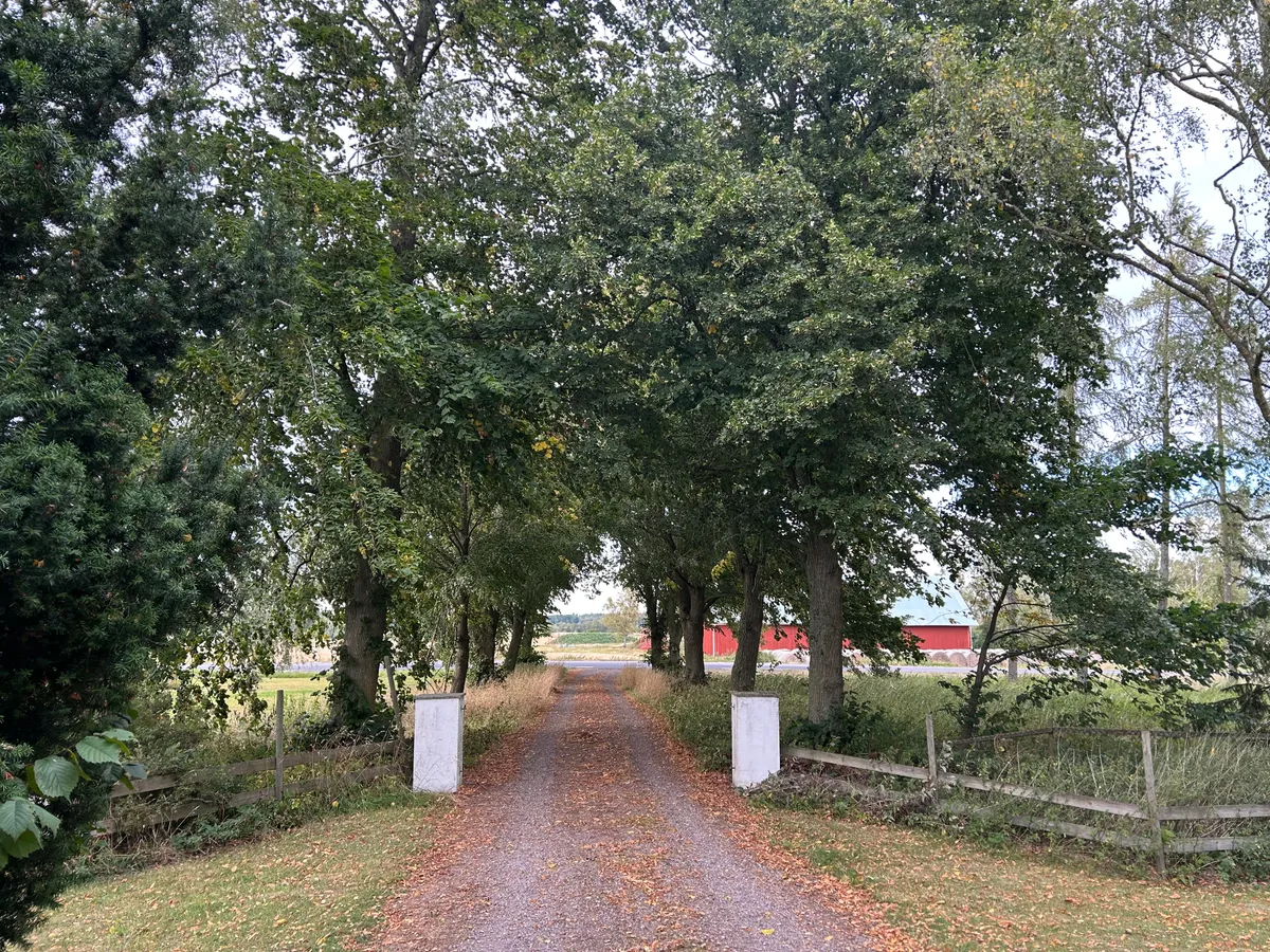Hyreslägenhet på Vikingstad i vikingstad