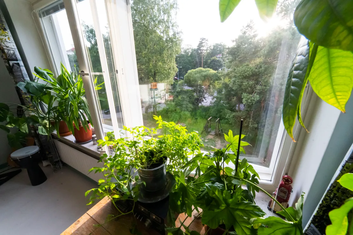 Hyreslägenhet på Helsinki i helsinki