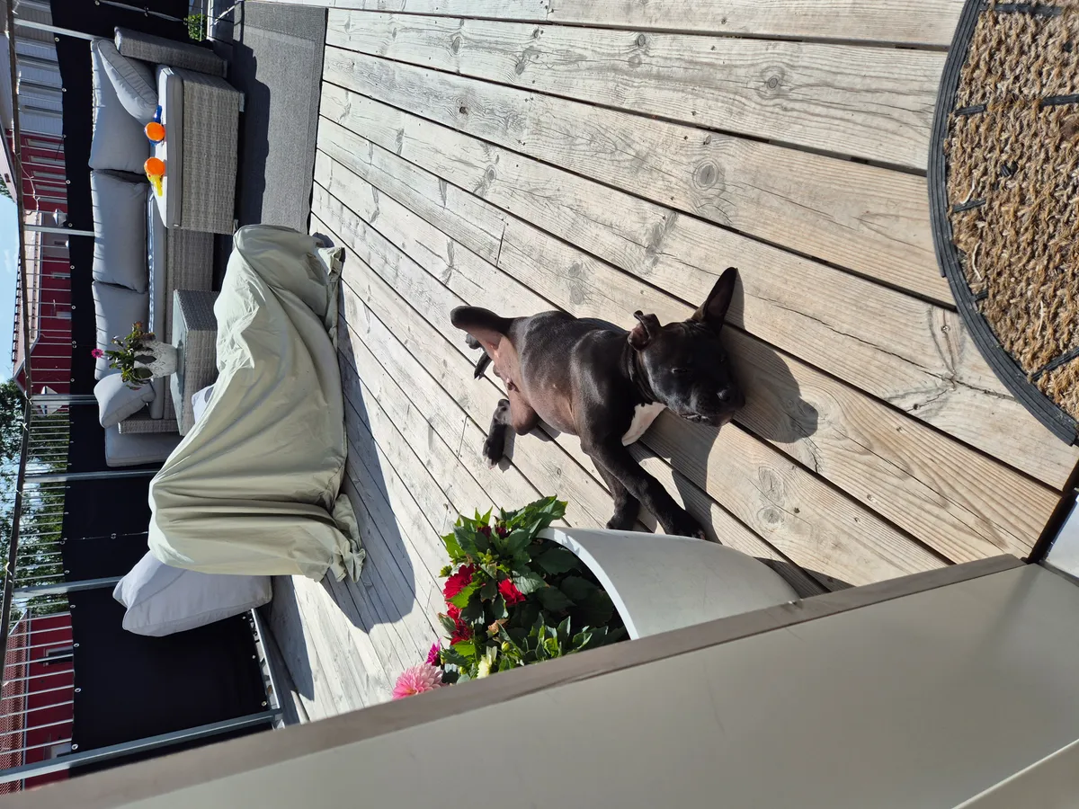 Hyreslägenhet på Visby i visby