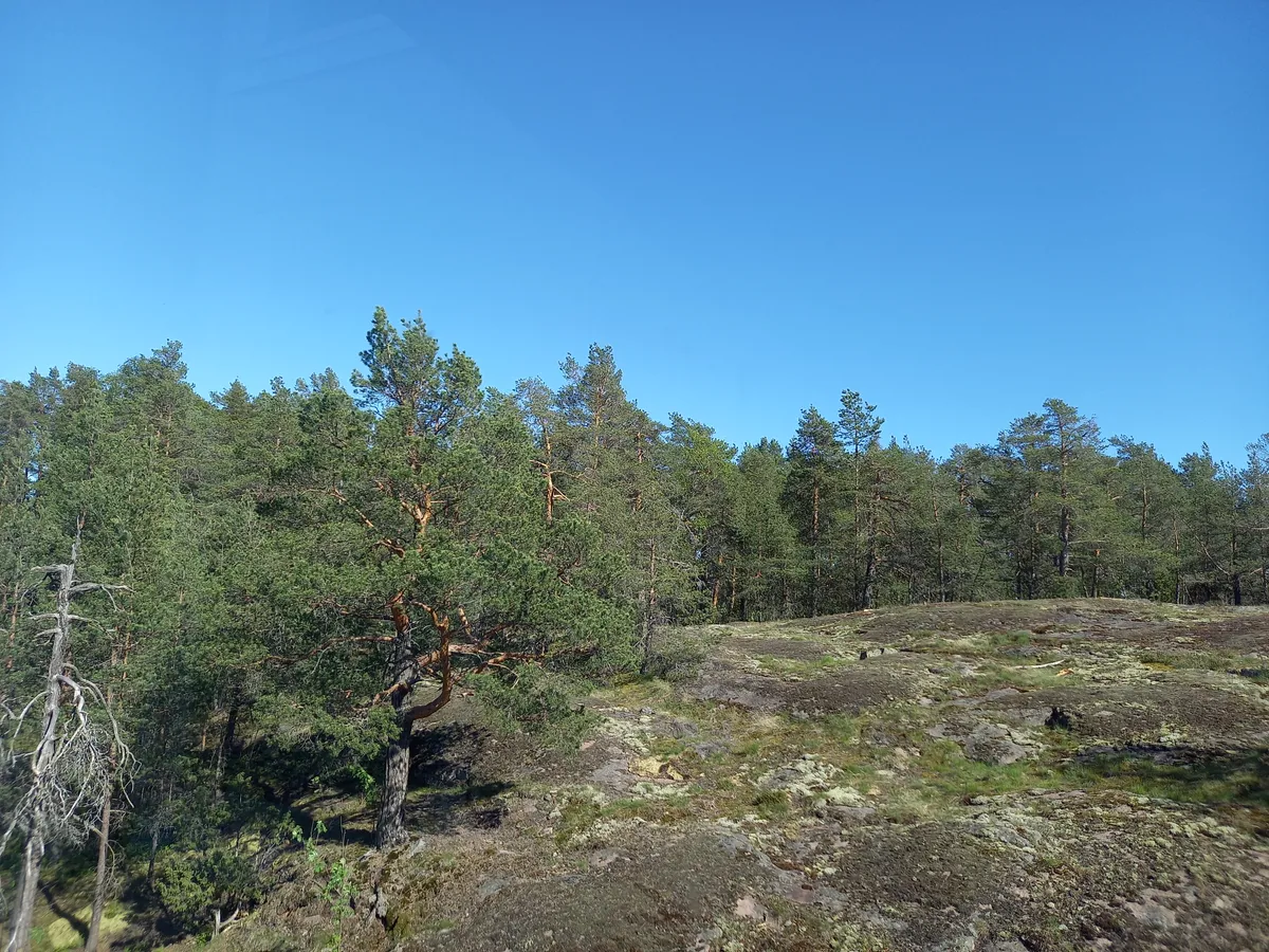 Hyreslägenhet på Espoo i espoo