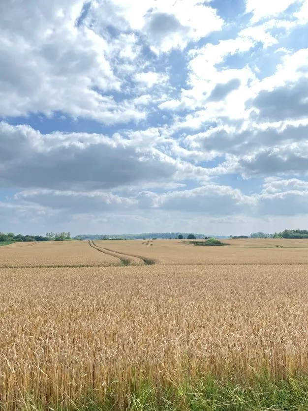 Hyresbostad på Höör i hoor