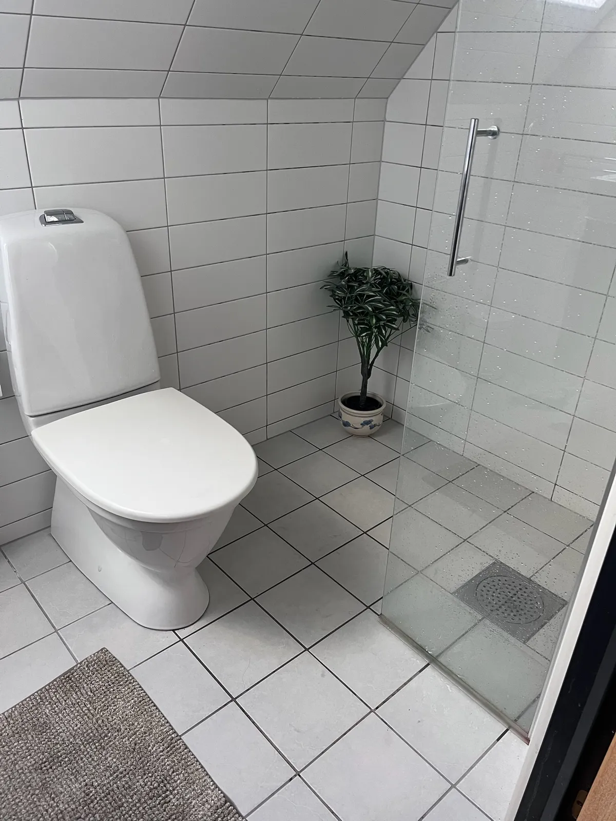 Hyresbostad på Skanör i skanor