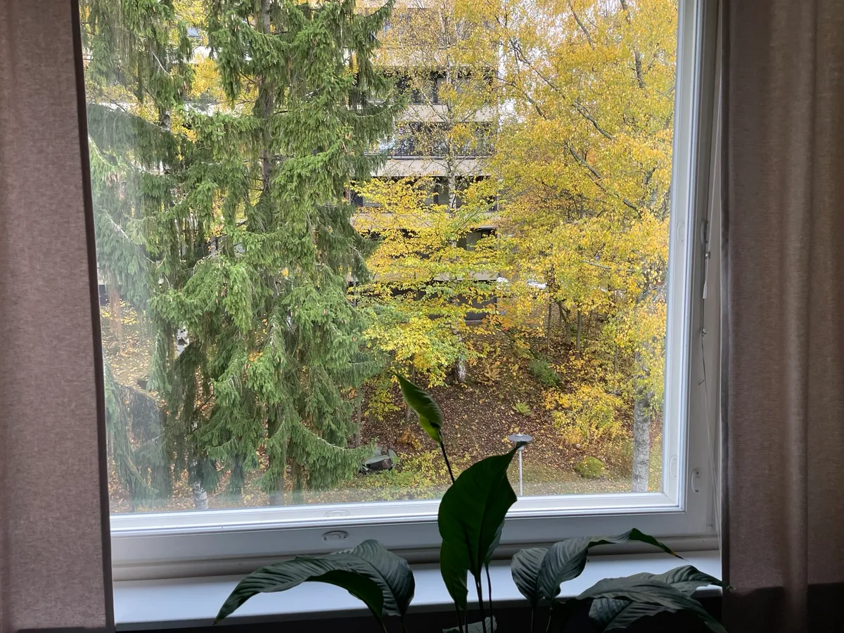 Hyreslägenhet på Helsinki i helsinki