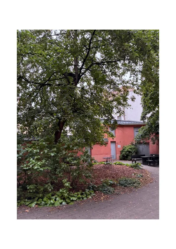 Hyreslägenhet på Helsinki i helsinki