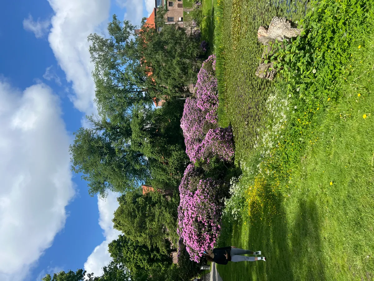 Hyreslägenhet på Göteborg i goteborg