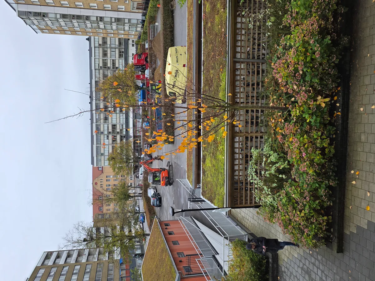 Hyreslägenhet på Malmö i malmo