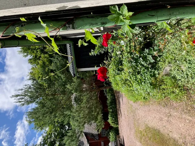 Hyreslägenhet på Kristianstad i kristianstad