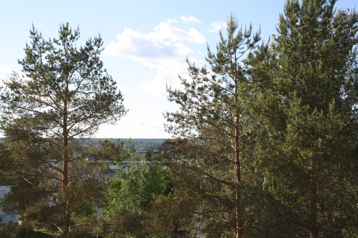 Hyreslägenhet på Lahti i lahti