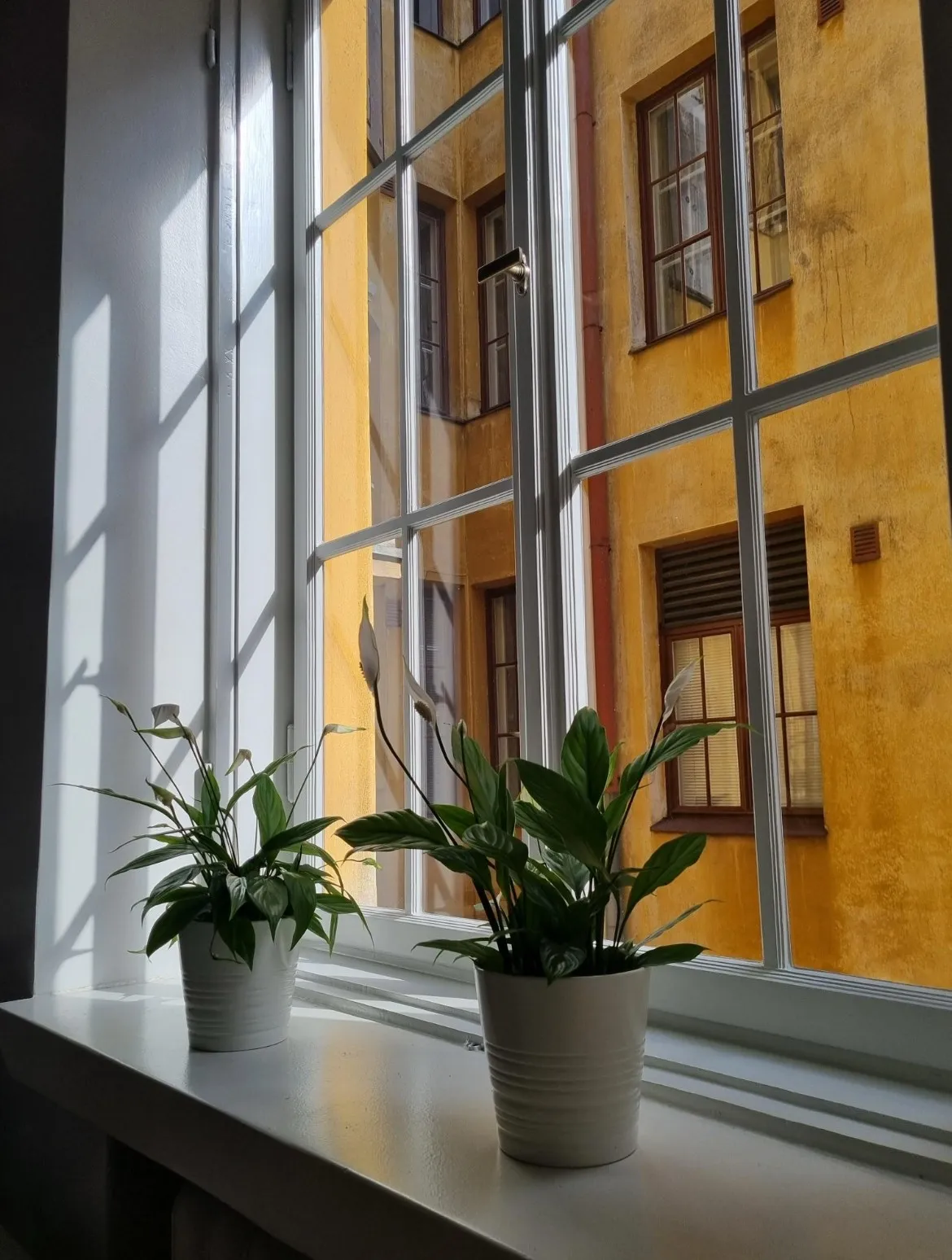 Hyreslägenhet på Helsinki i helsinki