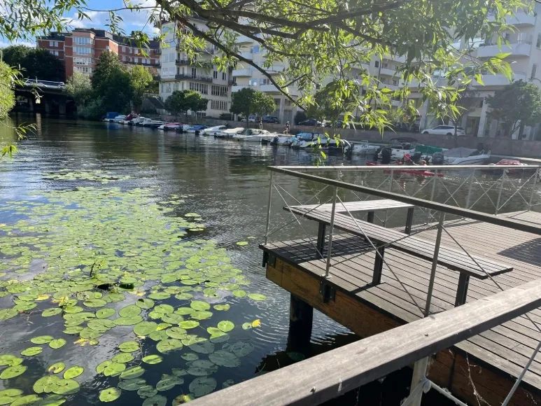 Hyreslägenhet på Stockholm i stockholm