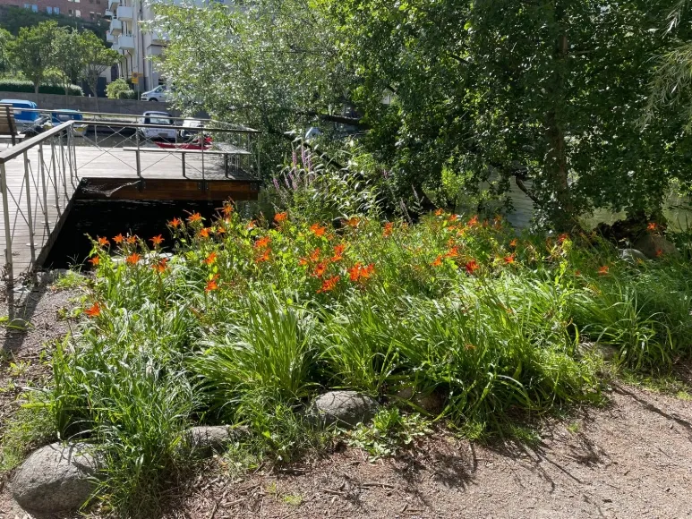 Hyreslägenhet på Stockholm i stockholm