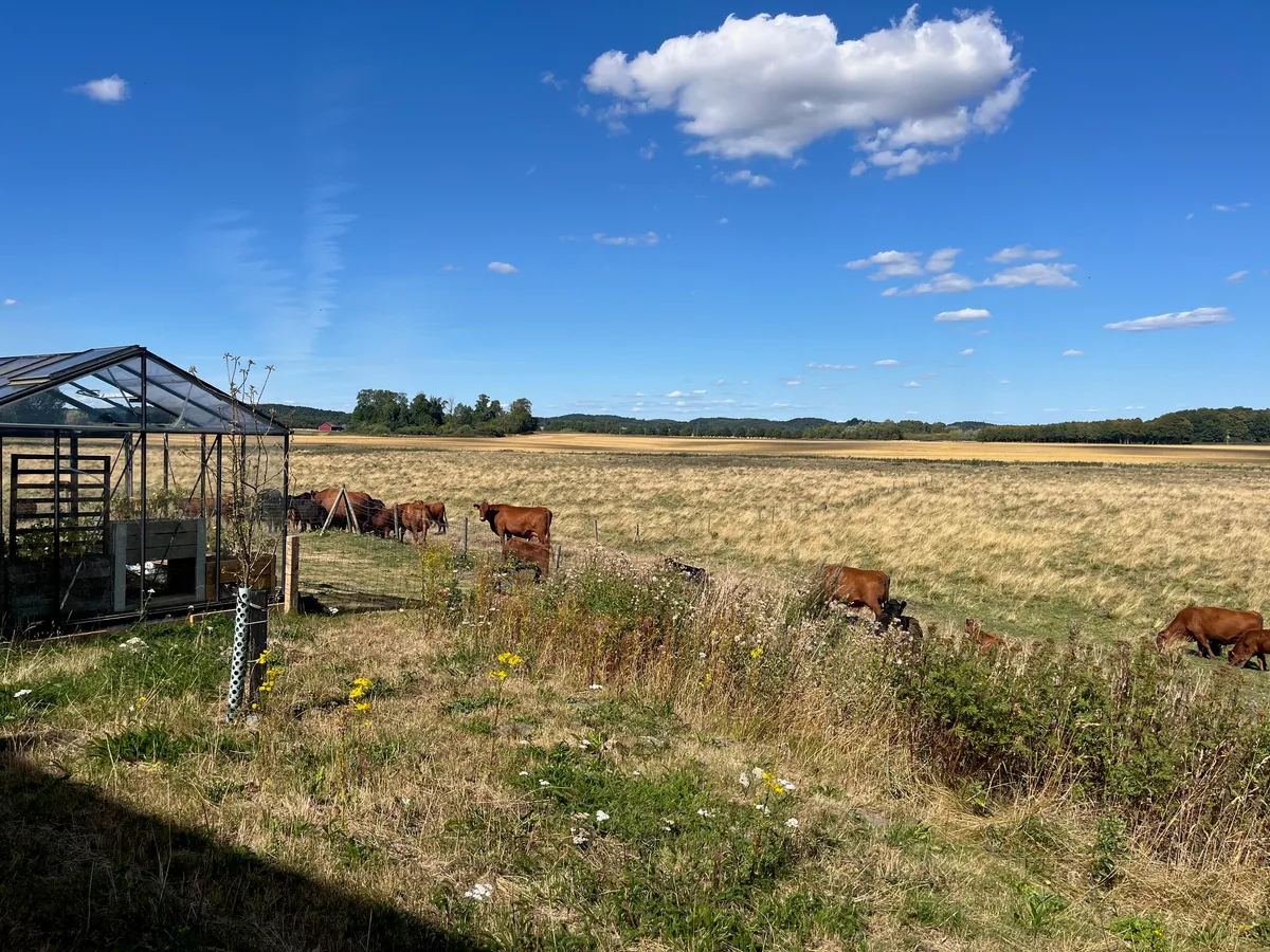 Hyresbostad på Skurup i skurup