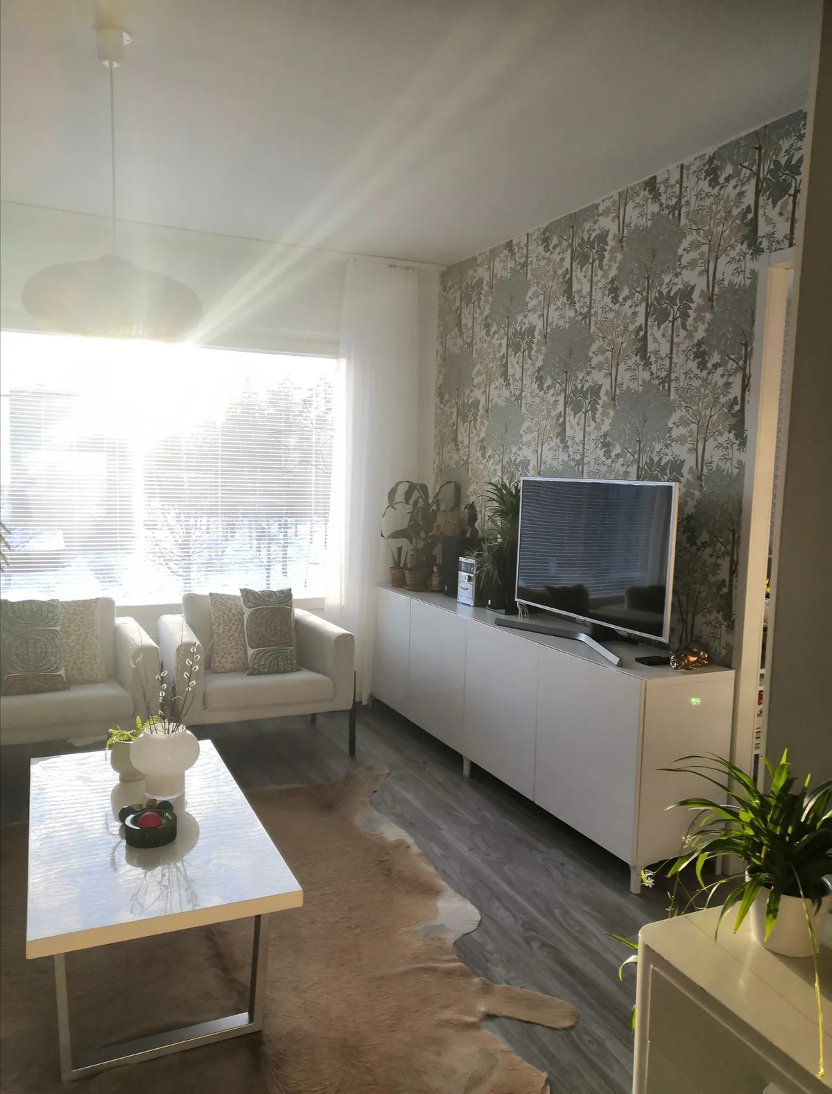 Hyreslägenhet på Jyväskylä i jyvaskyla