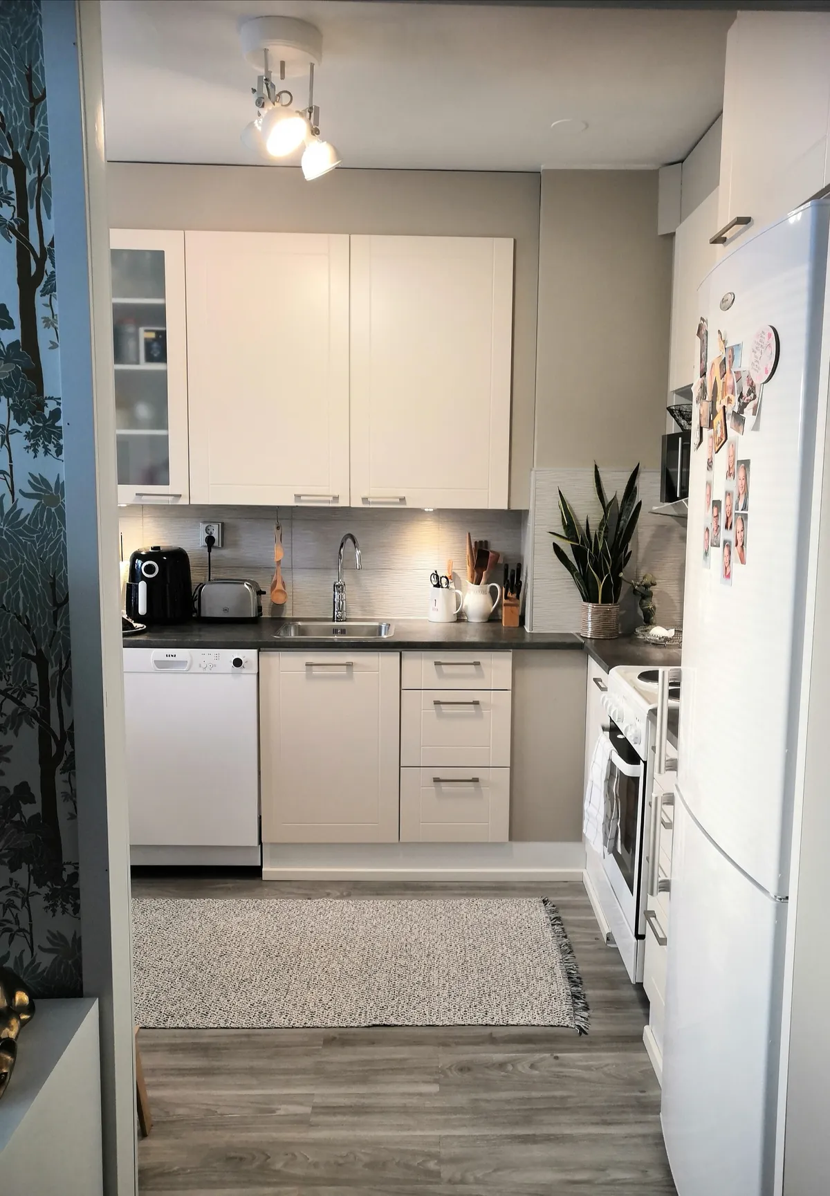 Hyreslägenhet på Jyväskylä i jyvaskyla