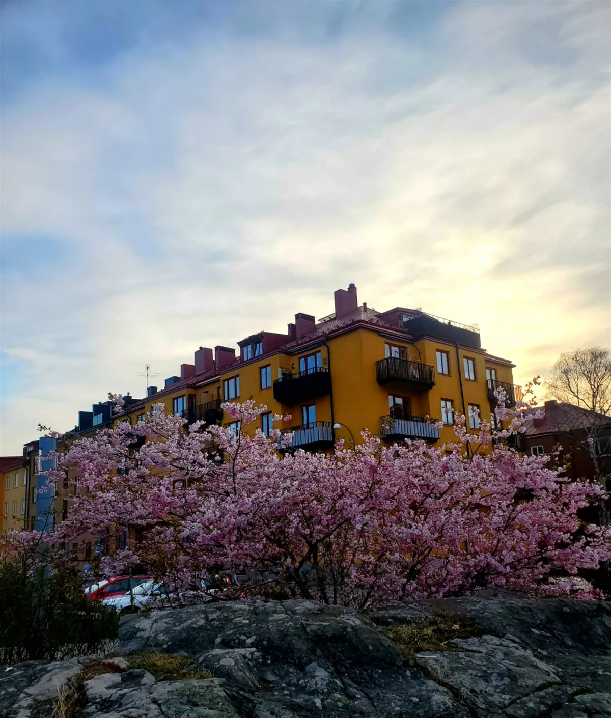 Hyreslägenhet på Sundbyberg i sundbyberg